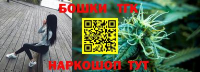 гашик Аргун