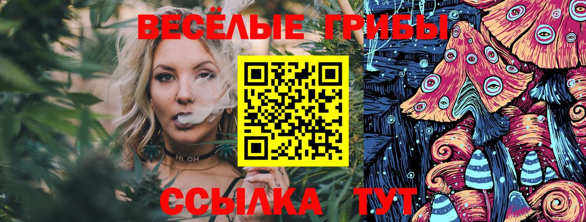 Псилоцибиновые грибы Psilocybe Белорецк